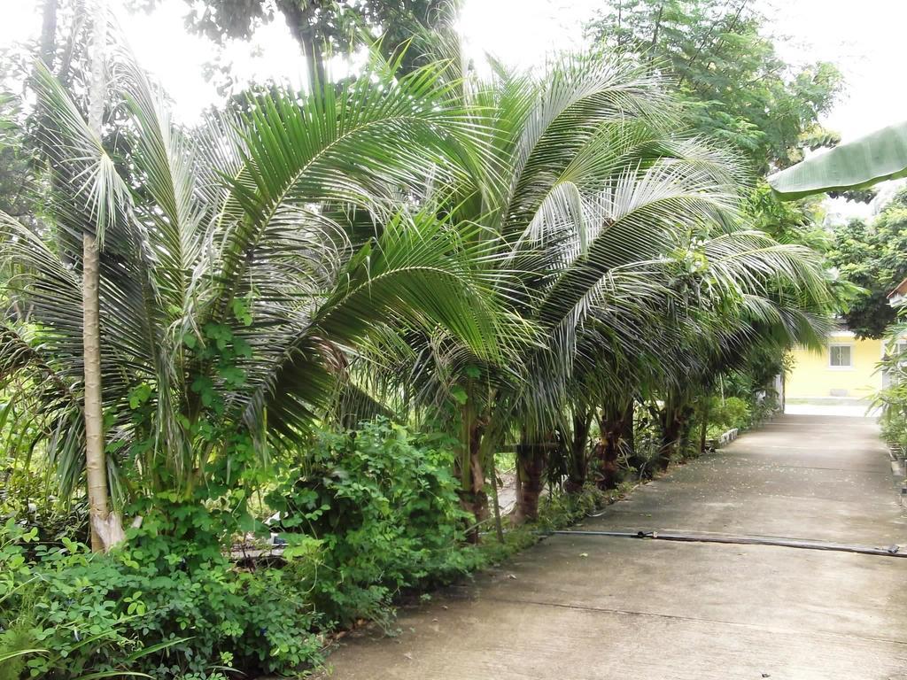 Wilai Villa Lamai Maret Номер фото
